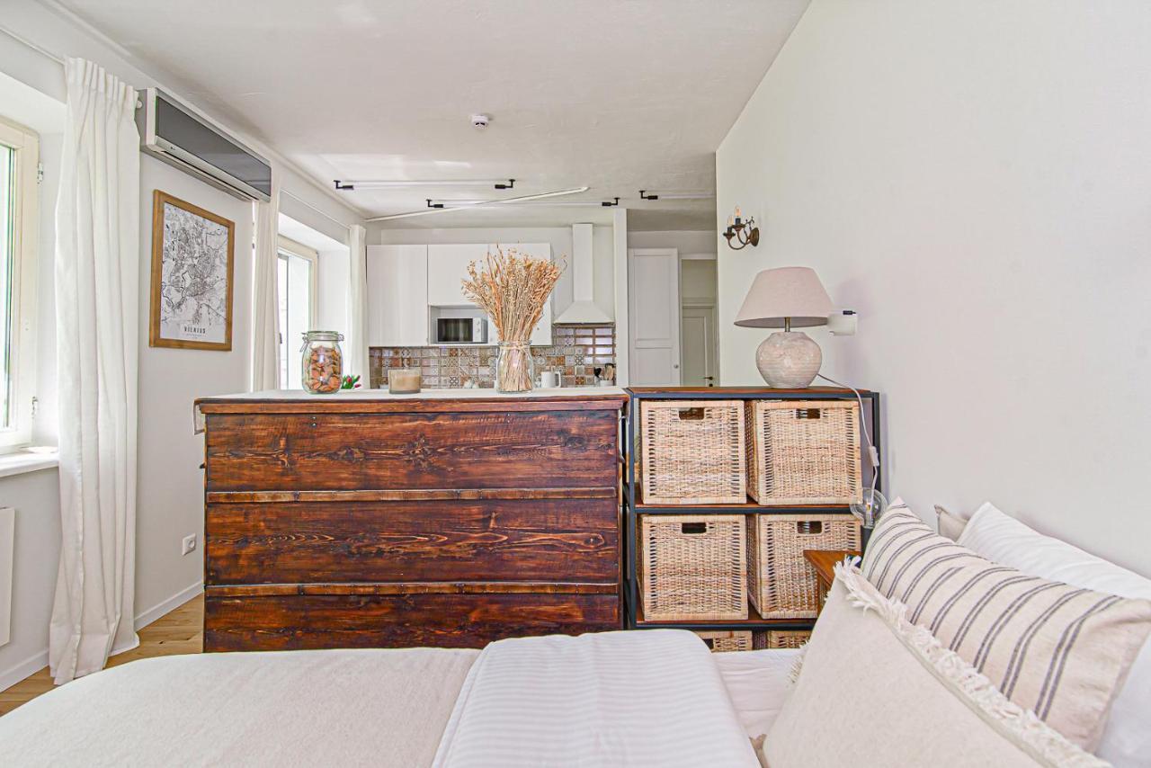 Cozy Studio In The Heart Of Vilnius Old Town エクステリア 写真