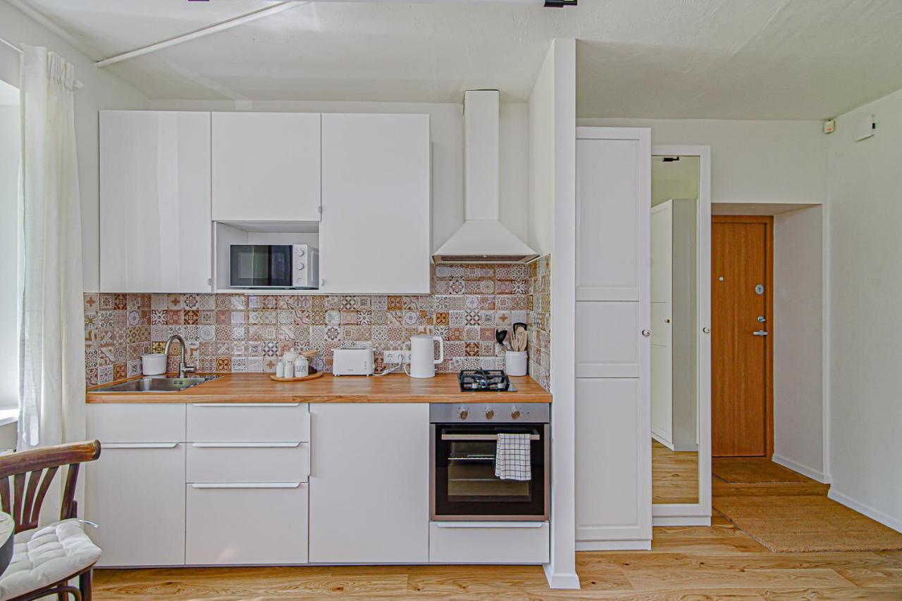Cozy Studio In The Heart Of Vilnius Old Town エクステリア 写真