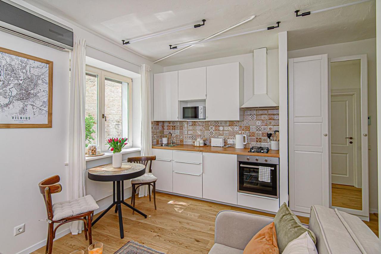 Cozy Studio In The Heart Of Vilnius Old Town エクステリア 写真