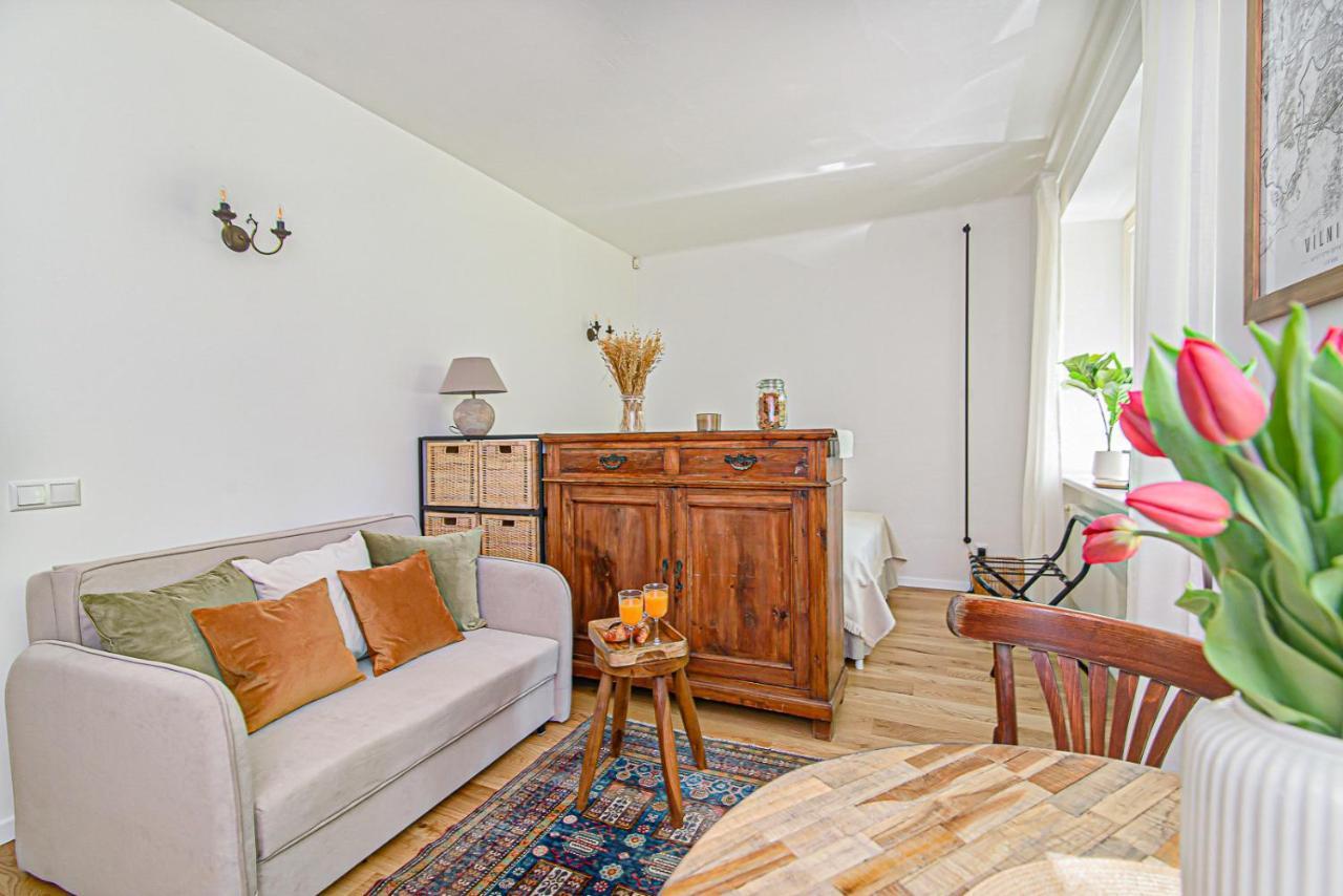 Cozy Studio In The Heart Of Vilnius Old Town エクステリア 写真