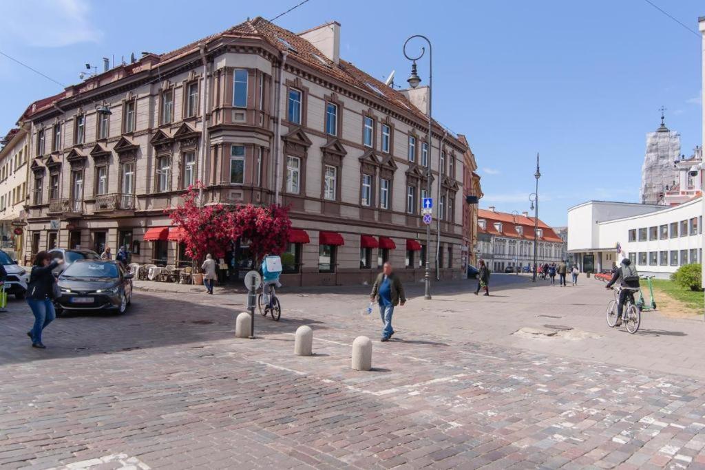 Cozy Studio In The Heart Of Vilnius Old Town エクステリア 写真